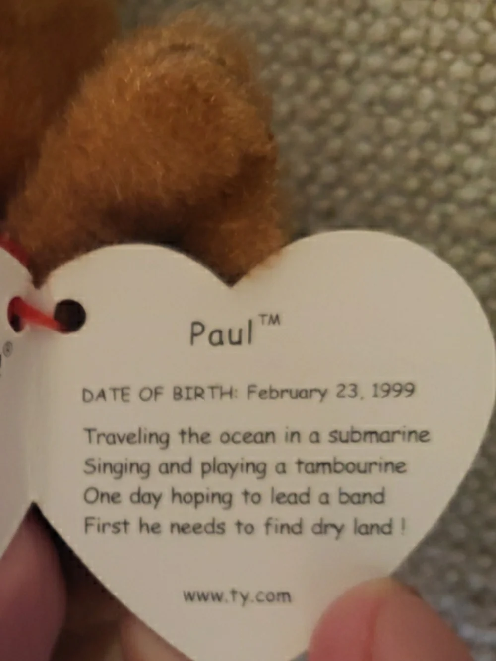 Ty Beanie Baby 7in Brown Plush Walrus Toy PAUL 1999 Never Handled Excellent